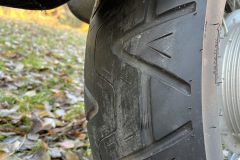 IMG_8089-scaled